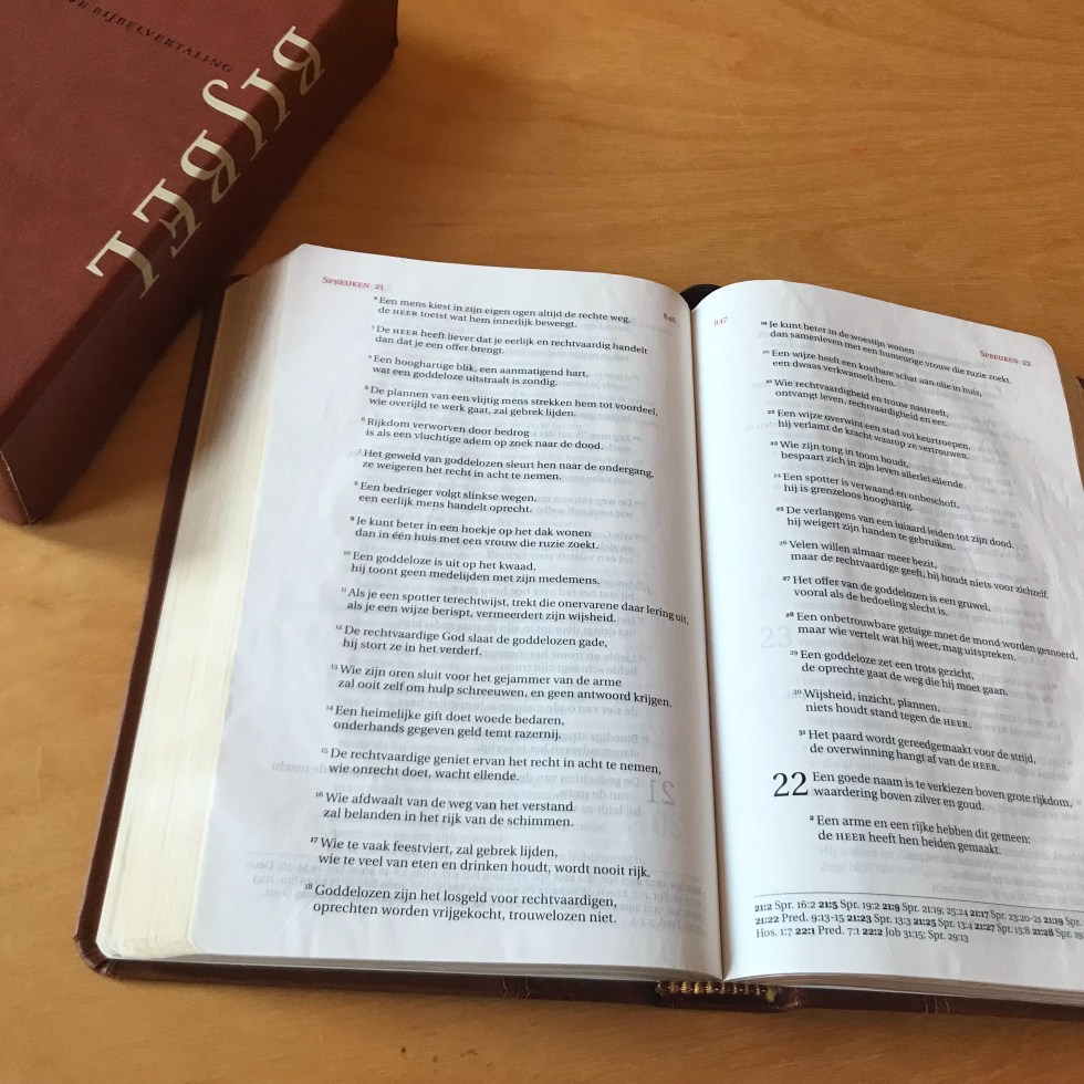 Bijbel in De Nieuwe Bijbelvertaling