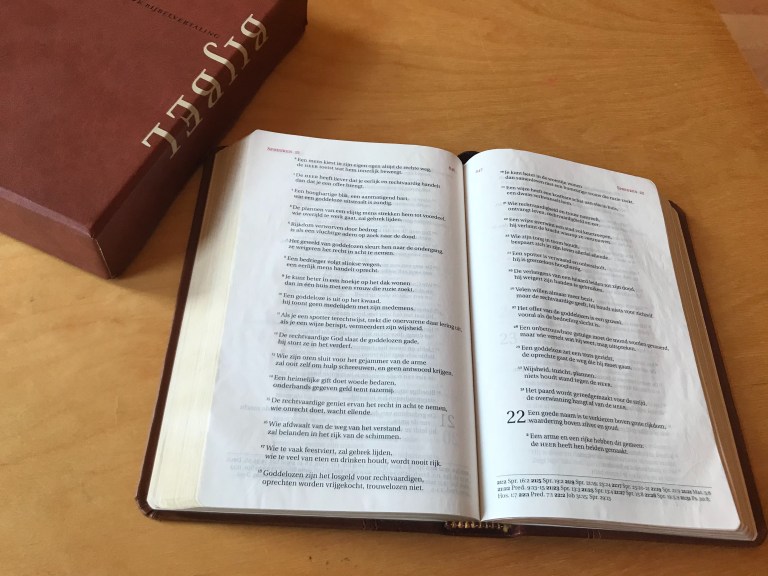 Bijbel in De Nieuwe Bijbelvertaling
