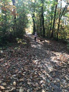 Kind met hond in het bos