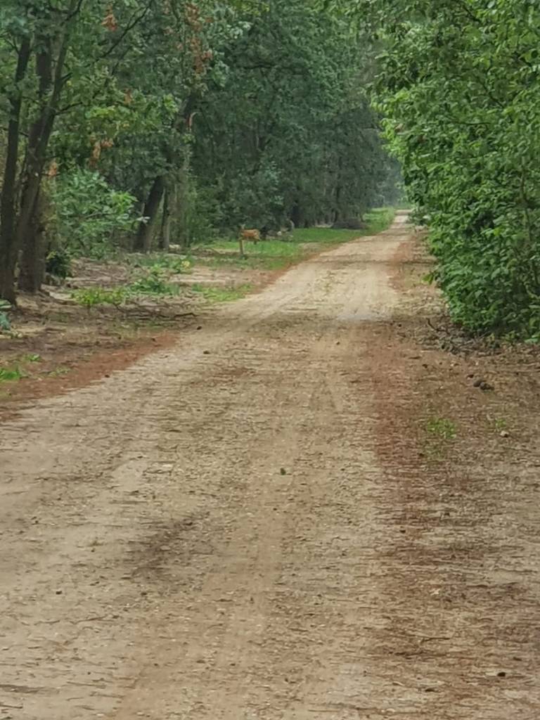 67831106-344a-49f5-8b4e-0cfe53447240